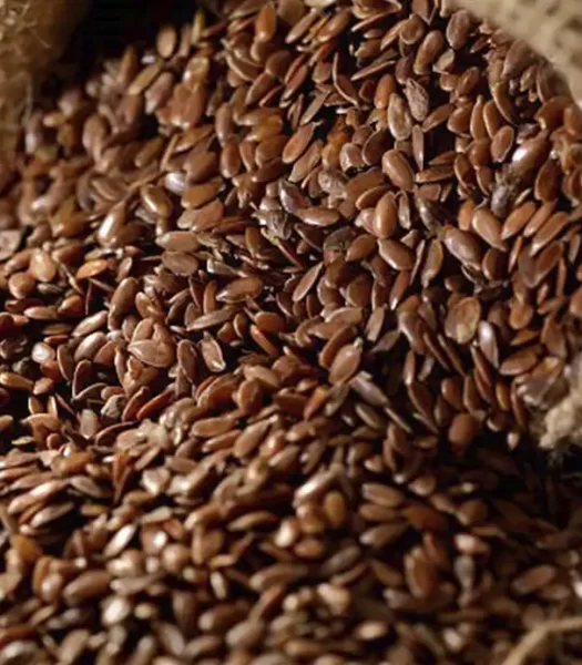 Flax Seed